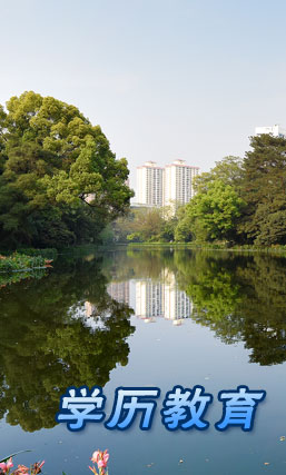 学历教育